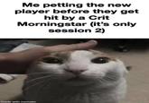 Me petting the new player before they get hit by a Crit Morningstar (it's only session 2) made with mematic