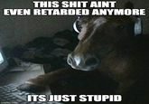 THIS S--- AINT EVEN RETARDED ANYMORE ITS JUST STUPID imgflip.com