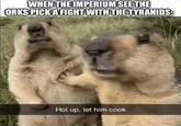 WHEN THE IMPERIUM SEE THE ORKS PICK A FIGHT WITH THE TYRANIDS: Hol up, let him cook