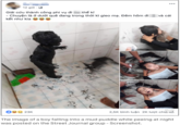 A Facebook post about a kid who fell in a puddle of mud and got covered. The post shares photos of the boy covered in mud.