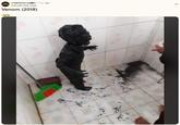 A meme posted to the /r/FakeHistoryp--n subreddit. The post calls a kid covered in mud Venom.