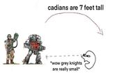 cadians are 7 feet tall "wow grey knights are really small"
