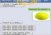 Messages I think I might be depressed Dog Edit WHAT'S THIS? THAT'S A BALL OH MY GOD OH MY GOD OH MY GOD OH MY GOD OH MY GOD OH MY GOD THIS IS THE BEST DAY OF MY ENTIRE LIFE.
