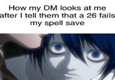 How my DM looks at me after I tell them that a 26 fails my spell save