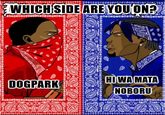 WHICH SIDE ARE YOU ON? DOBOBS DOGPARK HI WA MATA NOBORU