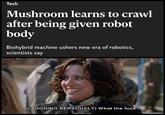Tech Mushroom learns to crawl after being given robot body Biohybrid machine ushers new era of robotics, scientists say (LAUGHING NERVOUSLY) What the f---?