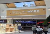 Yes HONEY BEES AT WORK Our rooftop is now home to 2 honey bee hives. How can you help your local The Art of PHO ASTE