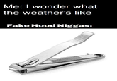 Me: I wonder what the weather's like Fake Hood N-----: