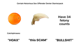 Certain Notorious Sex Offender Denier Starterpack Catchphrases: Have 34 felony counts "HOAX" "this SCAM" "B-------”