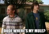 DUDE WHERE'S MY MULE? imgflip.com
