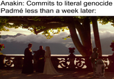 Anakin: Commits to literal genocide Padmé less than a week later: さな