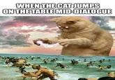 WHEN THE CAT JUMPS ON THE TABLE MID-DIALOGUE imgflip.com