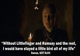 "Without Littlefinger and Ramsay and the rest, I would have stayed a little bird all of my life" Sansa, GOT 8x04