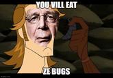 imgflip.com YOU VILL EAT ZE BUGS