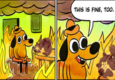 "This is fine" but a cat is fine too THIS IS FINE, TOO.