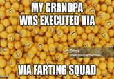 C MY GRANDPA WAS EXECUTED VIA G C 9 G iStock Credit: D3signAllTheThings 1294429156 imgflip.com VIA FARTING SQUAD ༡།
