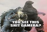 YOU SEE THIS S--- GAMERA?