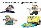 The four genders Male Female Plankton nickelodeon BOL T'éponge MC