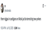 A "tweet":https://knowyourmeme.com/memes/sites/twitter-x about Pink Cardigan and Jay Guapo from "TikTok":https://knowyourmeme.com/memes/sites/tiktok, reading, "Them n----- in cardigans on TikTok just be terrorizing New Yorkers."