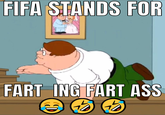 FIFA STANDS FOR FART ING FART ASS C