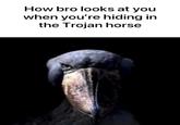 How bro looks at you when you're hiding in the Trojan horse