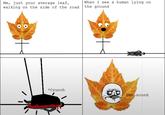 Me, just your average leaf, walking on the side of the road When I see a human lying on the ground *Crunch Dat sound
