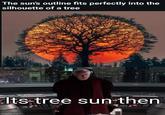 The sun's outline fits perfectly into the silhouette of a tree Its tree sun then imgflip.com