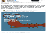 X user @politicalmath tweeted, "there are not 10^100 atoms in the observable universe. If the shrimp have become so numerous that there are 10^100 of them, they are a plague. They are a disease on this universe and you have a moral duty to destroy them." The post gathered over 6,000 likes in two days.