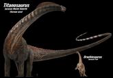 Titanosaurus Jurassic World: Rebirth (Screen size) Dark Brachiosaurus Jurassic Park