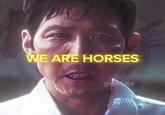 WE ARE HORSES gelox