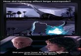 How did lightning affect large sauropods? Did you ever hear the Tragedy of Darth Brachiosaur the Wise?