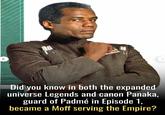 7 Did you know in both the expanded universe Legends and canon Panaka, guard of Padmé in Episode 1, became a Moff serving the Empire?