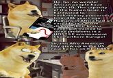 Ho, ho, no wonder African people have lower IQ. The capacity of the human brain is hardwired to Macat MACAT evolutionary processes from 40k years ago. A MACAT ANALYSIS Humans in Africa had an Library RICHARD J. HERRNSTEIN & CHARLES MURRAY'S easy life in a warm THE BELL CURVE INTELLIGENCE AND CLASS STRUCTUR IN AMERICAN LIFE climate, their brains never got trained to solve problems in a HOSTILE environment like northern Europe! Sir, this Afro American Boy grew up in the US, now he has an IQ of 489