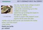 : Anonymous 1.16 MB PNG 03/11/20(Wed)13:08:31 No.3284921 >be me, dumb f--- college student >fail test, feel pretty bad >see turtle wandering out in the middle of campus >pick him up to bring him back to the lake for safety >turtle is super chill, doesn't even squirm till he sees the lake >turtle runs as fast as he can towards the water when I put him down >feel better thank you turtle pic related