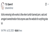 On July 24th, 2025, X user @basterbinez tweeted, "itchio removing nsfw works is like when tumblr banned p---, vast and arrogant overestimation that anyone uses the website for anything else lol," gathering over 7,000 likes in a day.
