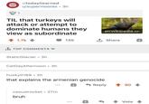 ICH 1 r/todayilearned u/supermoores • 3h TIL that turkeys will attack or attempt to dominate humans they view as subordinate 1.7k TOP COMMENTS Static Glacier • 3h en.wikipedia.or 135 Share CatDayAfternoon ⚫ 3h husky0168 2h that explains the armenian genocide casualrocket • 27m bruh +3 Reply 90 Vote