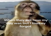 Instagram page @memecobweb posted the Thinking Monkey meme alongside a caption that read, "When they ask how my day was but I lowkey forgot," gathering over 7,000 likes in eight months.