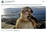 X user @oocdexter tweeted the image of the "Thinking Monkey" meme alongside a caption that read, "the pose Dexter hits when he arrives at the scene of his own crime."