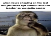 Redditor /u/senplayz602 posted a Thinking Monkey meme that read, "when youre cheating on the test but you make eye contact with the teacher so you gotta ponder."