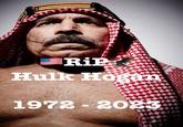 Rip Hulk Hogan 1972 2023