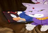 A "redraw":https://knowyourmeme.com/memes/redraw of the Homophobic Cat image, showing Blaze "side-eyeing":https://knowyourmeme.com/memes/side-eye "Sonic":https://knowyourmeme.com/memes/subcultures/sonic-the-hedgehog and "Shadow":https://knowyourmeme.com/memes/shadow-the-hedgehog kissing.