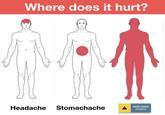 Where does it hurt? Headache Stomachache 2005/2000 POINTS