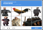 Select all squares with COCKS If there are none, click skip C ດ i NEXT
