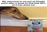 Me returning to my pot of Citadel paint after a week to find that 50% of it has dried out CITADE BASE CORVUS