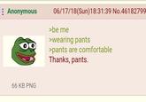 : Anonymous 66 KB PNG 06/17/18(Sun)18:31:39 No.46182799 >be me >wearing pants >pants are comfortable Thanks, pants.