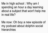 Me in high school: Why am I spending an hour a day learning about a subject that won't help me in real life? Me now: Oh boy a new episode of my podcast about dolphin social hierarchies