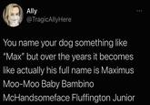 Ally @TragicAllyHere You name your dog something like "Max" but over the years it becomes like actually his full name is Maximus Moo-Moo Baby Bambino McHandsomeface Fluffington Junior