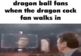 dragon ball fans when the dragon c--- fan walks in