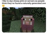 I like to dye sheep pink on servers so people think they've found a naturally generated one