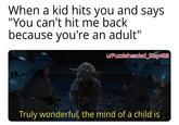 When a kid hits you and says "You can't hit me back because you're an adult" w/Puzzleheaded Step468 Truly wonderful, the mind of a child is
